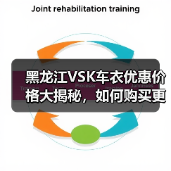 黑龙江VSK车衣优惠价格大揭秘，如何购买更划算？