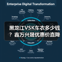 黑龙江VSK车衣多少钱？鑫万兴晟优惠价直降