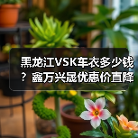 黑龙江VSK车衣多少钱？鑫万兴晟优惠价直降