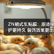 ZN厢式车贴膜：原漆保护更持久 装饰效果更出众