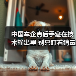 中国车企真后手藏在技术输出里 别只盯着销量 中国车企真后手藏在技术输出里 别只盯着销量