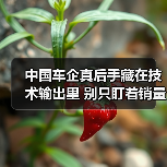 中国车企真后手藏在技术输出里 别只盯着销量 中国车企真后手藏在技术输出里 别只盯着销量