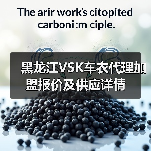黑龙江VSK车衣代理加盟报价及供应详情 黑龙江VSK车衣代理加盟报价及供应详情