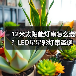 12米太阳能灯串怎么选?LED星星彩灯串圣诞节日防水装饰推荐 12米太阳能灯串怎么选?LED星星彩灯串圣诞节日防水装饰推荐