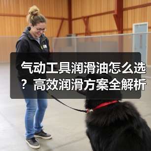 气动工具润滑油怎么选？高效润滑方案全解析