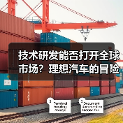 技术研发能否打开全球市场？理想汽车的冒险策略