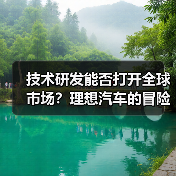 技术研发能否打开全球市场？理想汽车的冒险策略