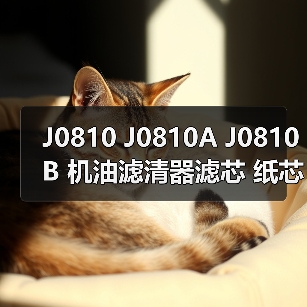 J0810 J0810A J0810B 机油滤清器滤芯 纸芯 汽车发动机适用