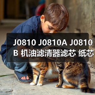 J0810 J0810A J0810B 机油滤清器滤芯 纸芯 汽车发动机适用