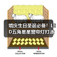 婚庆生日圣诞必备！LED五角星星窗帘灯打造梦幻氛围