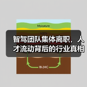 智驾团队集体离职,人才流动背后的行业真相? 智驾团队集体离职,人才流动背后的行业真相?