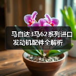 马自达3马62系列进口发动机配件全解析 马自达3马62系列进口发动机配件全解析