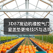 3D87发动机橡胶气门室盖垫更换技巧与选购指南