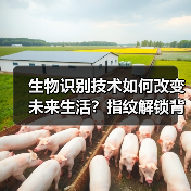 生物识别技术如何改变未来生活?指纹解锁背后的真相 生物识别技术如何改变未来生活?指纹解锁背后的真相