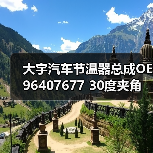 大宇汽车节温器总成OE96407677 30度夹角 适用型号精准匹配 大宇汽车节温器总成OE96407677 30度夹角 适用型号精准匹配
