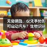 无需钥匙,仅凭手势即可启动汽车?生物识别技术如何重塑未来出行? 无需钥匙,仅凭手势即可启动汽车?生物识别技术如何重塑未来出行?