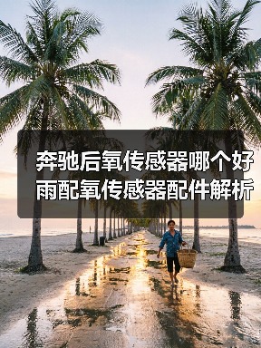 奔驰后氧传感器哪个好 雨配氧传感器配件解析 奔驰后氧传感器哪个好 雨配氧传感器配件解析