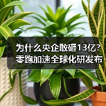 为什么央企敢砸13亿?零跑加速全球化研发布局 为什么央企敢砸13亿?零跑加速全球化研发布局