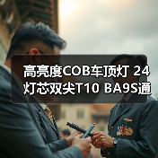高亮度COB车顶灯 24灯芯双尖T10 BA9S通用接头 汽车阅读灯推荐
