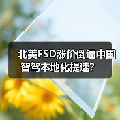 北美FSD涨价倒逼中国智驾本地化提速? 北美FSD涨价倒逼中国智驾本地化提速?