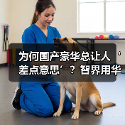 为何国产豪华总让人‘差点意思’？智界用华为技术重新定义