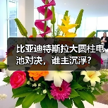 比亚迪特斯拉大圆柱电池对决,谁主沉浮? 比亚迪特斯拉大圆柱电池对决,谁主沉浮?