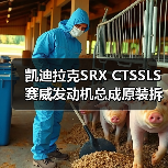 凯迪拉克SRX CTSSLS赛威发动机总成原装拆车件哪里买? 凯迪拉克SRX CTSSLS赛威发动机总成原装拆车件哪里买?