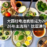 大圆柱电池真能成为2026年主流吗?比亚迪与特斯拉的较量暗藏玄机 大圆柱电池真能成为2026年主流吗?比亚迪与特斯拉的较量暗藏玄机