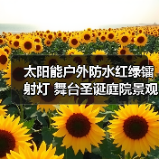太阳能户外防水红绿镭射灯 舞台圣诞庭院景观装饰灯
