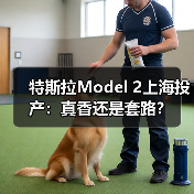 特斯拉Model 2上海投产：真香还是套路？