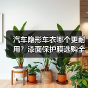 智穹界佑迈疾配网