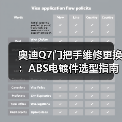 奥迪Q7门把手维修更换：ABS电镀件选型指南