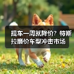 提车一周就降价？特斯拉廉价车型冲击市场