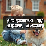 智穹界佑迈疾配网