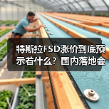 特斯拉FSD涨价到底预示着什么?国内落地会加速吗? 特斯拉FSD涨价到底预示着什么?国内落地会加速吗?