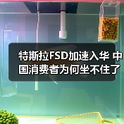 特斯拉FSD加速入华 中国消费者为何坐不住了 特斯拉FSD加速入华 中国消费者为何坐不住了
