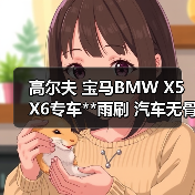 高尔夫 宝马BMW X5 X6专车**雨刷 汽车无骨雨刷器 雨刮器