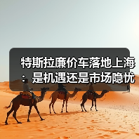 特斯拉廉价车落地上海:是机遇还是市场隐忧? 特斯拉廉价车落地上海:是机遇还是市场隐忧?