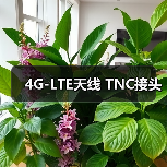 4G-LTE天线 TNC接头 4G-LTE天线 TNC接头