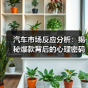 智穹界佑迈疾配网 智穹界佑迈疾配网