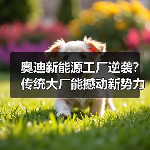 奥迪新能源工厂逆袭?传统大厂能撼动新势力吗? 奥迪新能源工厂逆袭?传统大厂能撼动新势力吗?