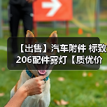 智穹界佑迈疾配网