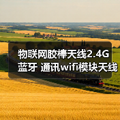 物联网胶棒天线2.4G 蓝牙 通讯wifi模块天线,ZigB胶棒 物联网胶棒天线2.4G 蓝牙 通讯wifi模块天线,ZigB胶棒