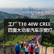 工厂 T10 40W CREE 四面大功率汽车示宽灯 30W 50W LED阅读灯 工厂 T10 40W CREE 四面大功率汽车示宽灯 30W 50W LED阅读灯