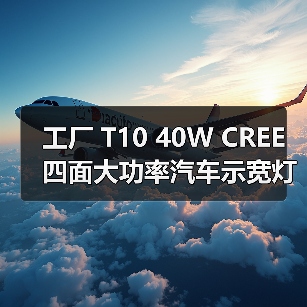 工厂 T10 40W CREE 四面大功率汽车示宽灯 30W 50W LED阅读灯 工厂 T10 40W CREE 四面大功率汽车示宽灯 30W 50W LED阅读灯
