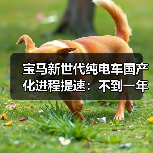 宝马新世代纯电车国产化进程提速：不到一年落地你信吗？