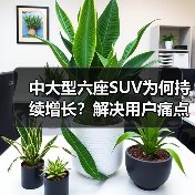 中大型六座SUV为何持续增长?解决用户痛点成新逻辑 中大型六座SUV为何持续增长?解决用户痛点成新逻辑
