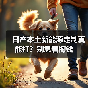 日产本土新能源定制真能打?别急着掏钱 日产本土新能源定制真能打?别急着掏钱