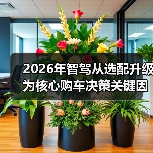 智穹界佑迈疾配网 智穹界佑迈疾配网