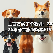 上百万买了个教训：2026年蔚来旗舰轿车ET9对标尊界S800抢占高端市场，我站哪边？